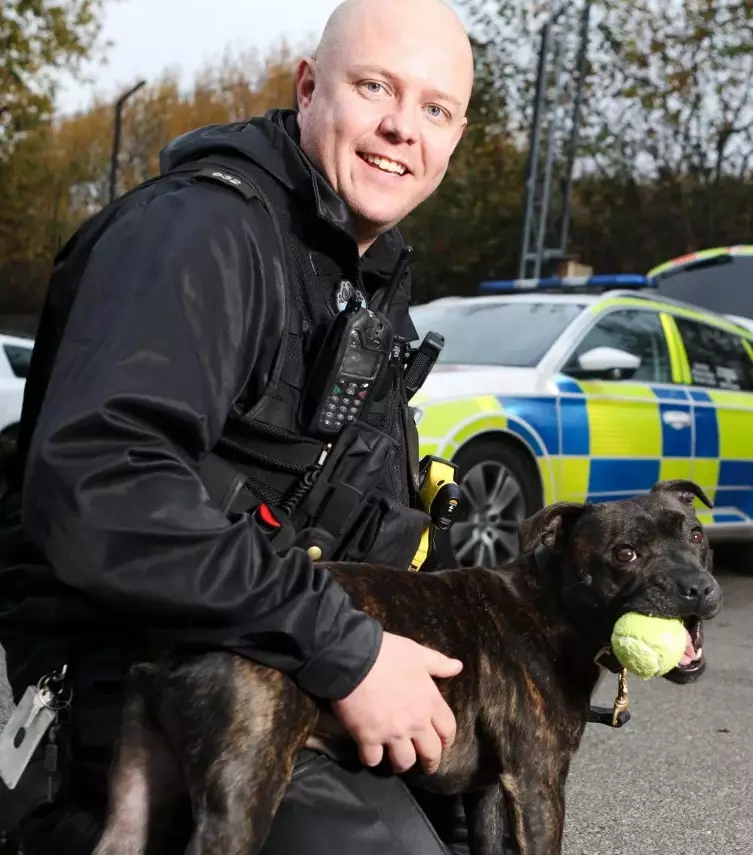 UK's First Staffie Police Dog Is Breaking Down Negative Stereotypes.