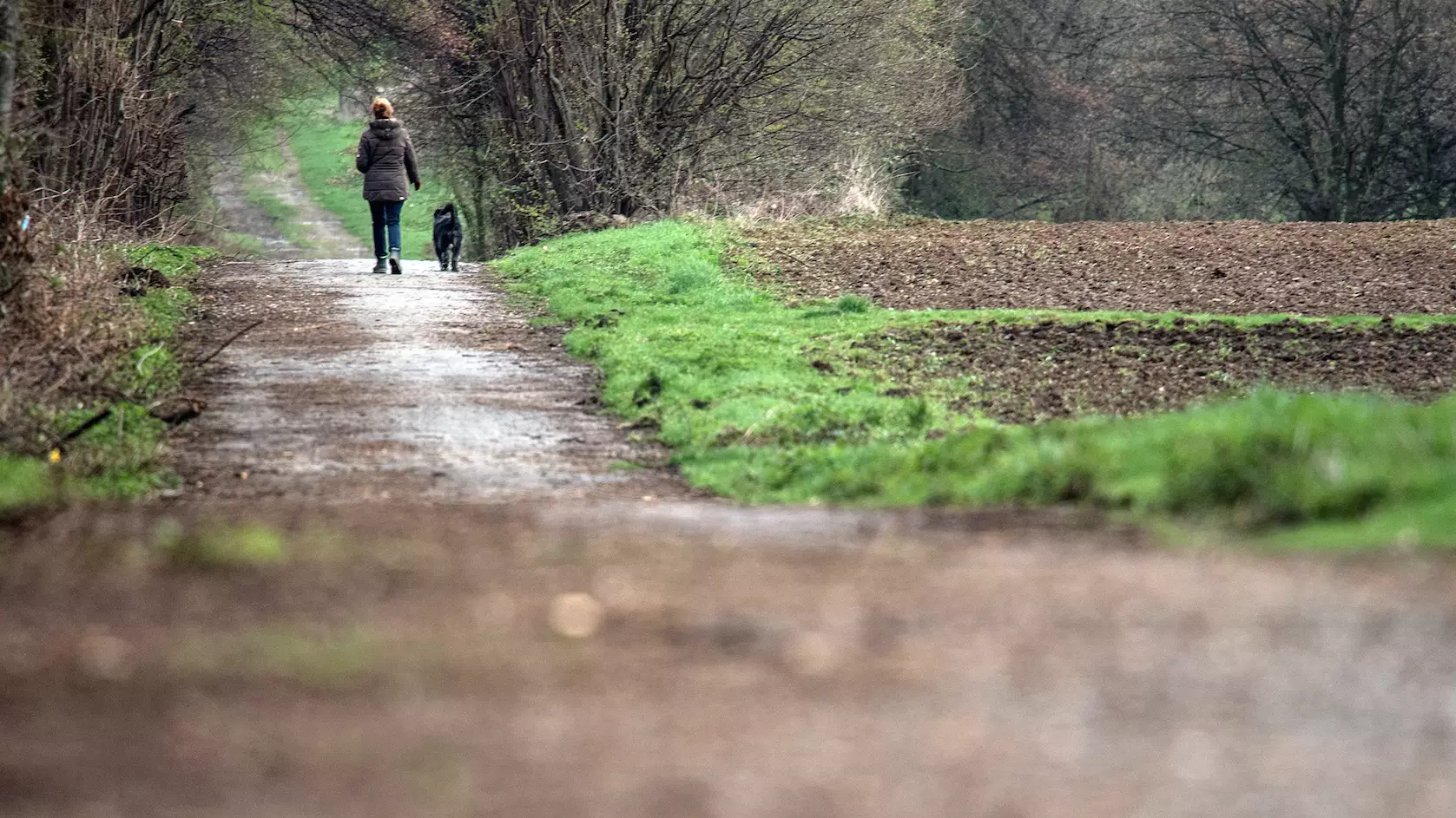 Dog Owners Warned About Killer Disease Which Could Be Picked Up From Mud 