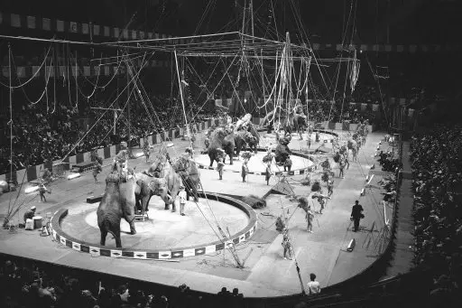 Declining Attendances And High Operating Costs Bring 146-Year-Old Circus To An End