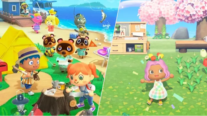 Animal Crossing Community Clubs Together, Buys Switch And 'New Horizons' For Superfan