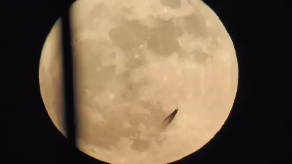 UFO Researcher Claims Strange Object 'Passing The Moon' Is Proof Of Alien Life