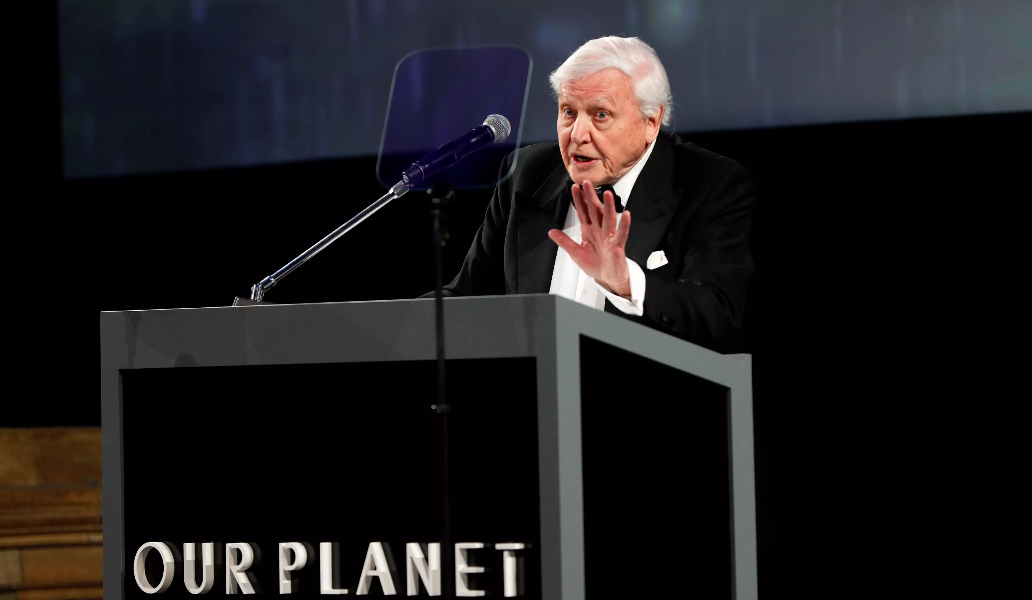 David Attenborough passionately campaigns about the state of the planet