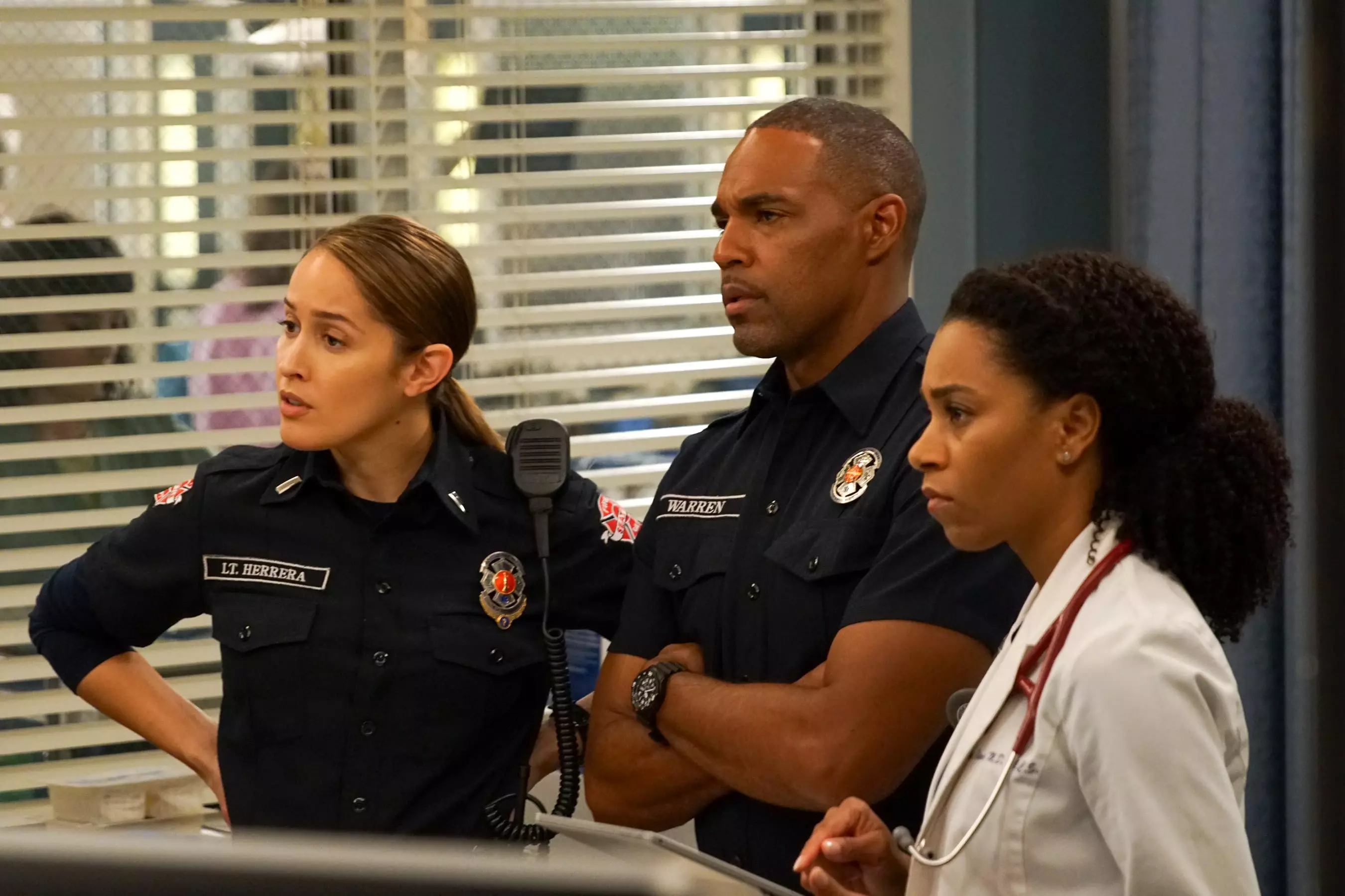 The series already has two spin-offs including Station 19 (
