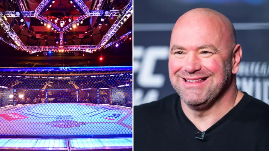 The UFC Super Fights We Want To See In 2020 And Who's Going To Win Them