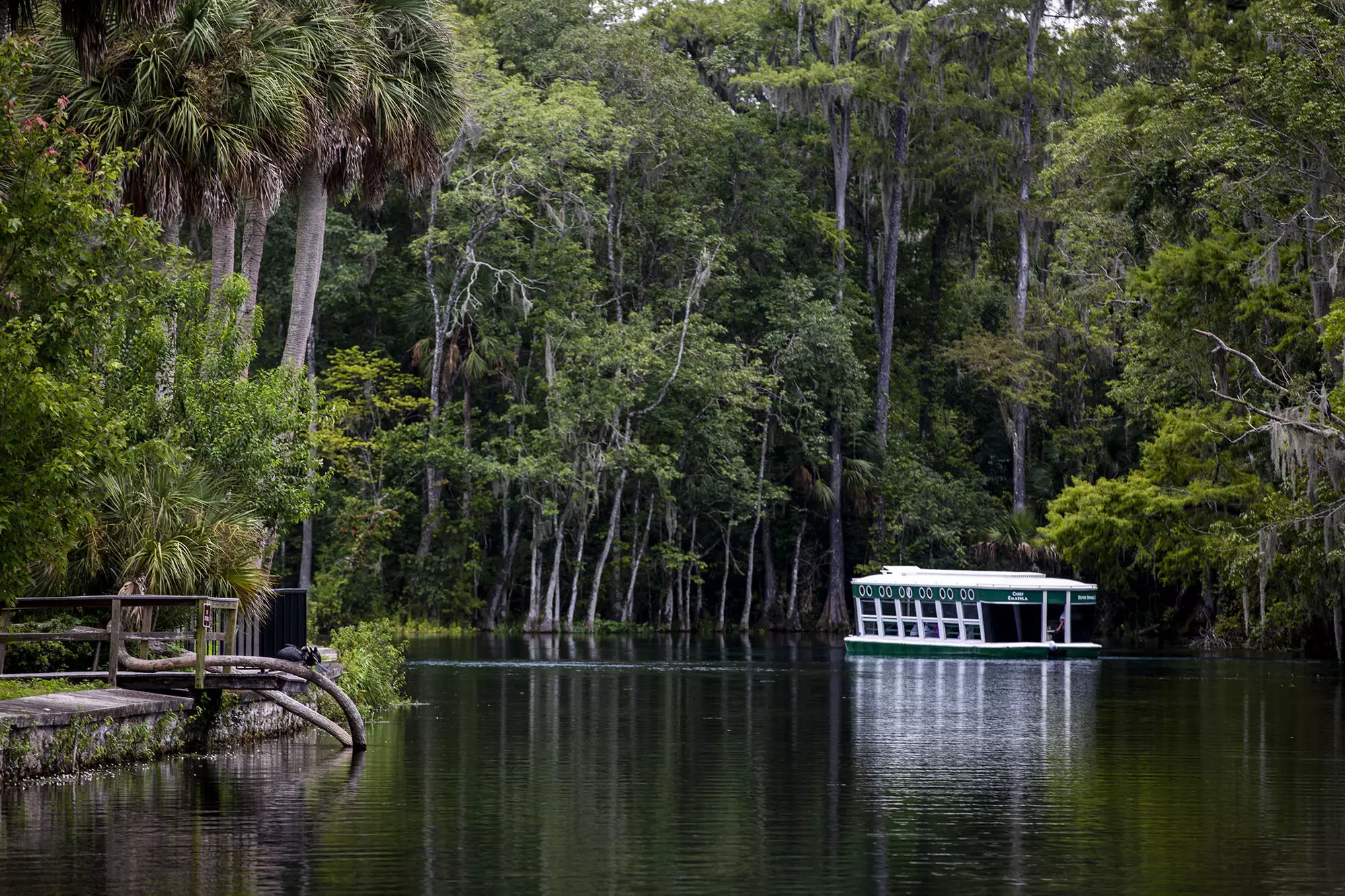 Silver Springs State Park is a popular Florida attraction.