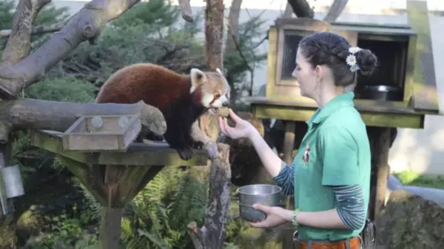 Zoo Keepers Self-Isolating With Animals So They Can Feed Them Amid Coronavirus