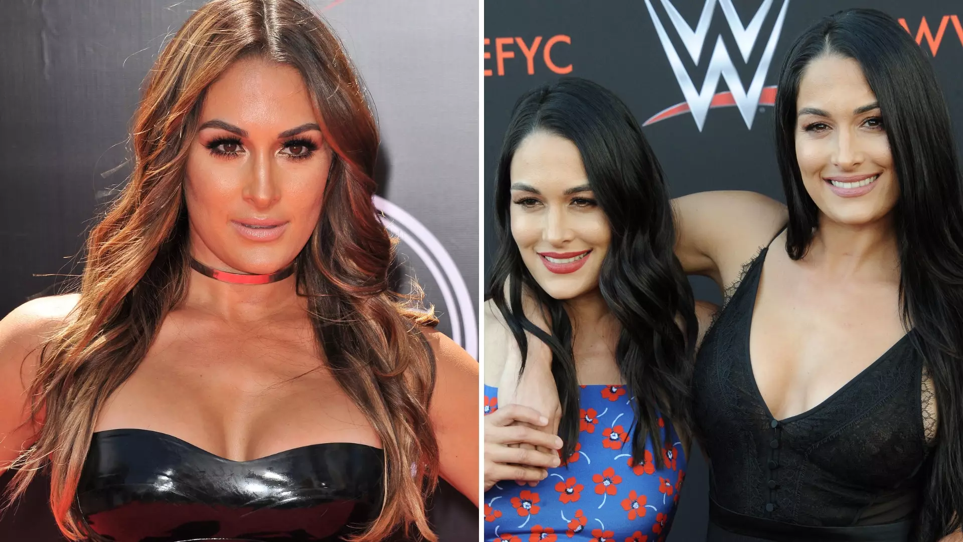 UFC Champion Asks Nikki Bella Out, He Gets An Immediate Reply