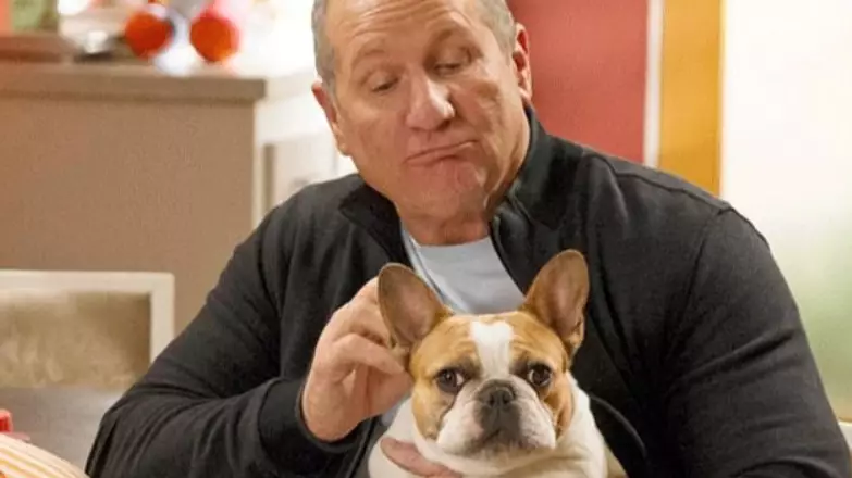 Dog Who Plays Modern Family's Stella Has Died