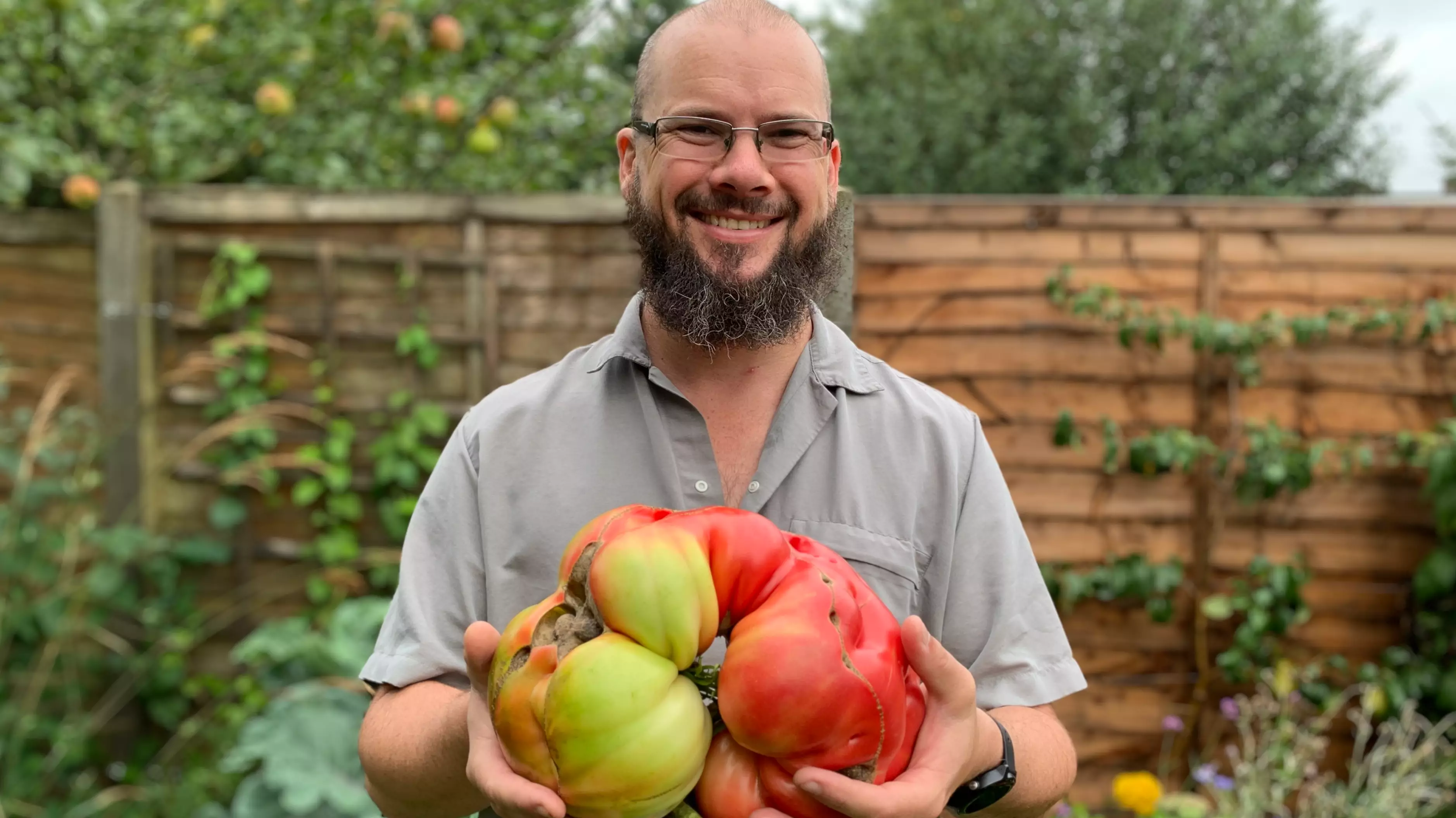 Dad Grows UK's Biggest Tomato Using A Pair Of Tights