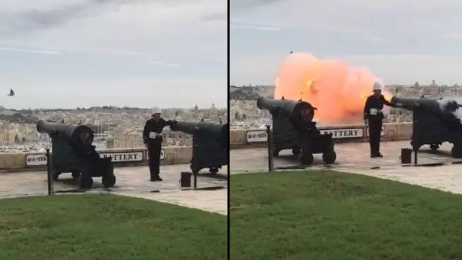 Unlucky Pigeon Gets Shot By Ceremonial Cannon As It Flies Through Line Of Fire
