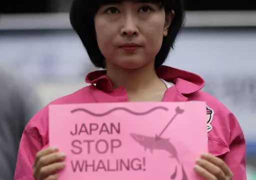 A member of civic group holds a sign during a rally against Japan's commercial whaling.