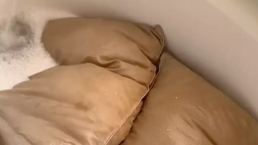 Woman Cleans Husband's Disgustingly Dirty Pillows For First Time In Five Years
