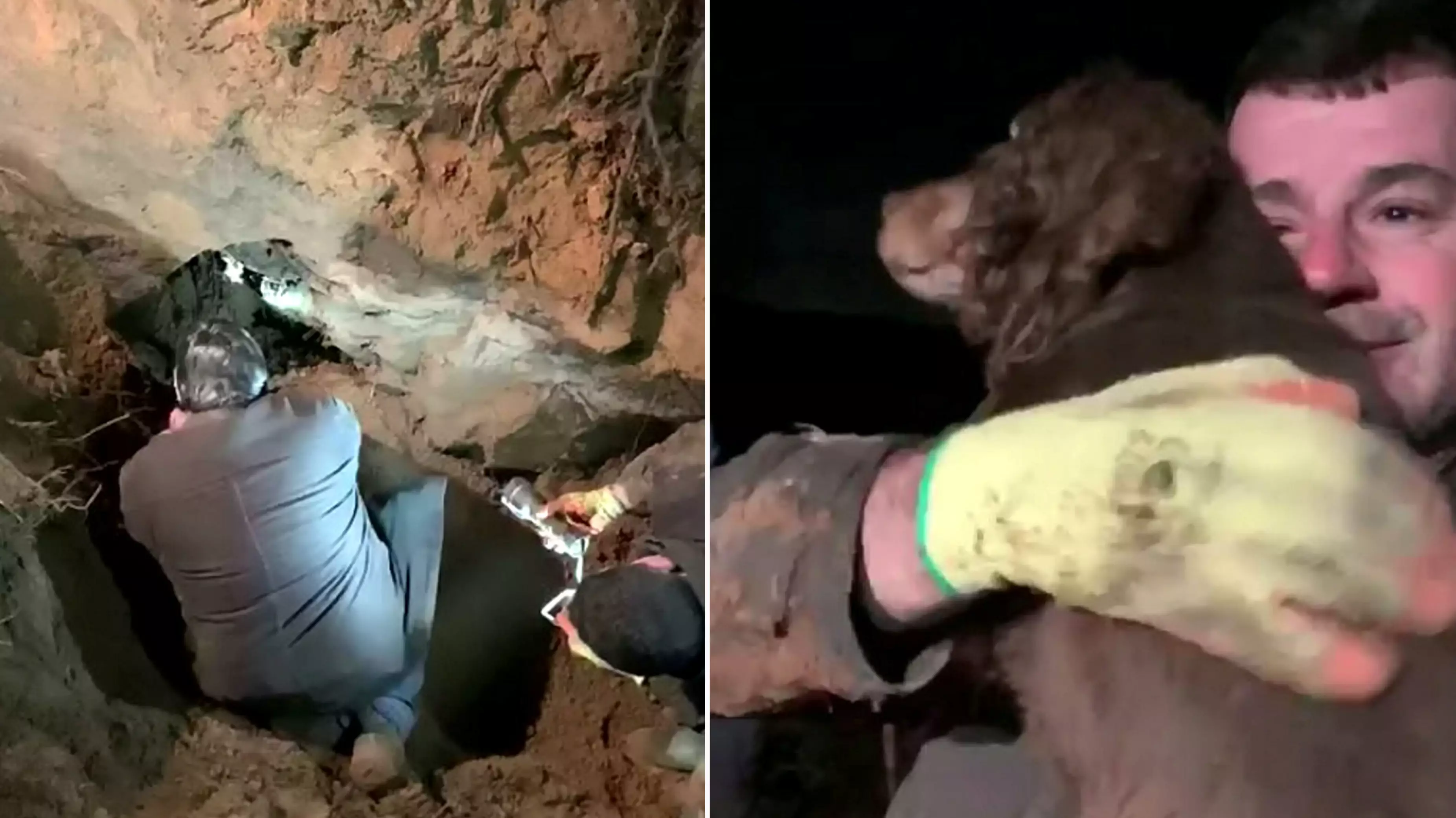 Incredible Moment Deaf Dog Trapped For 30hrs In Rabbit Hole Is Rescued