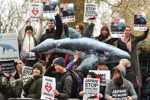 Activists take part in an anti-whaling protest outside the Japanese Embassy in central London.