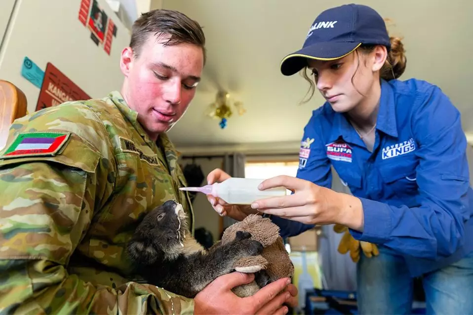A soldier from The Australian Army cradles a koala affected by the bushfires.