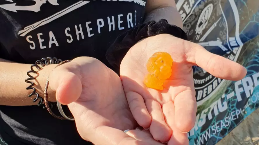 Woolworths Lion King Ooshies Have Started Washing Up On Aussie Beaches