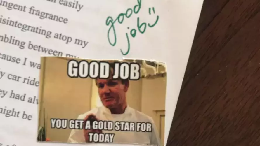 Teacher Uses Gordon Ramsay Memes To Grade Homework