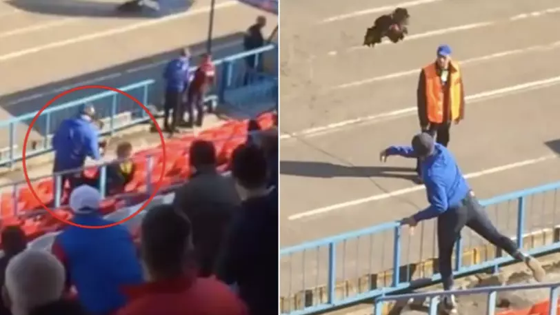 Russian Fan Throws Live Rooster At Manager In Second Division Game