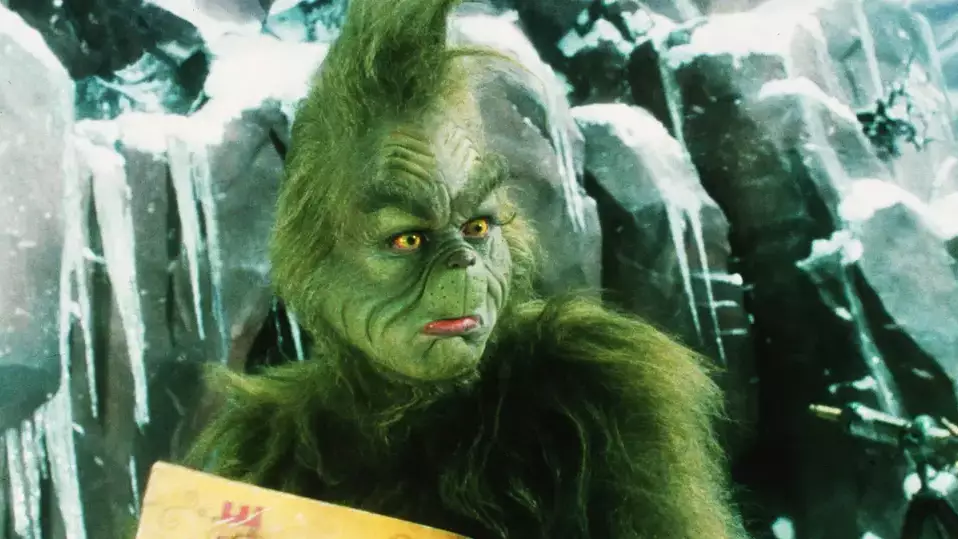 Woman Creates Incredible 'Grinch' Outfits For Her Kids For Just £4.99
