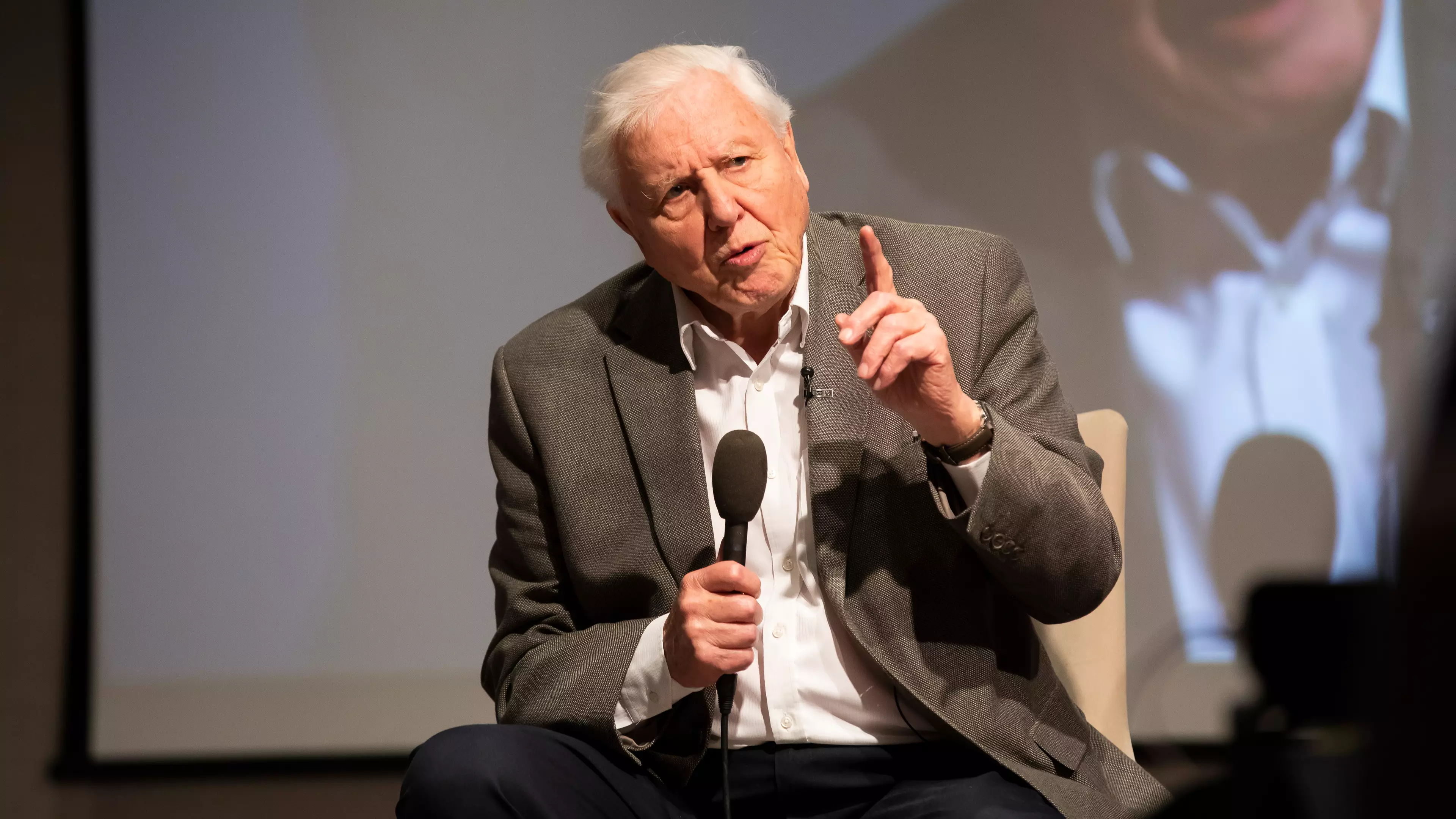 Sir David Attenborough Is Campaigning To Raise £12 Million To Save London Zoo