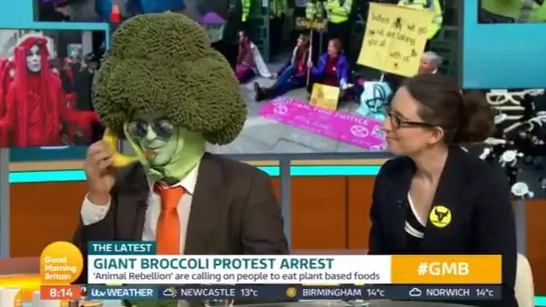 Peas didn't like it when Mr Broccoli answered the banana.