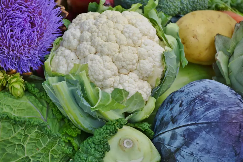 Cauliflower shortages could hit the UK. Please, no, not the cauliflower.