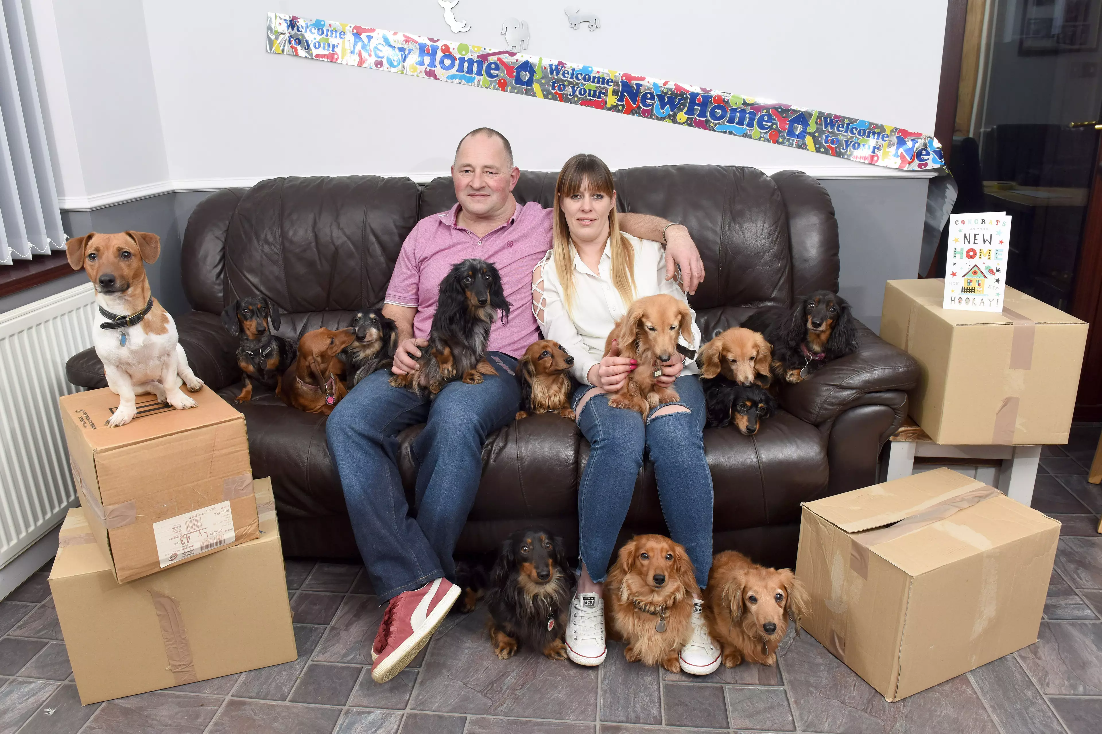 Mandy and Alec upsized their home for their dogs (