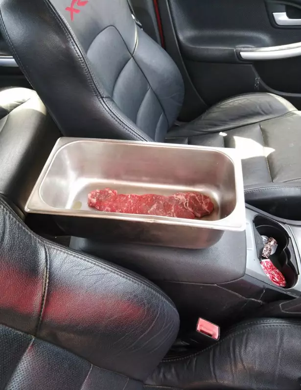 Raw Steak Cooked Well-Done When Left In Hot Car.