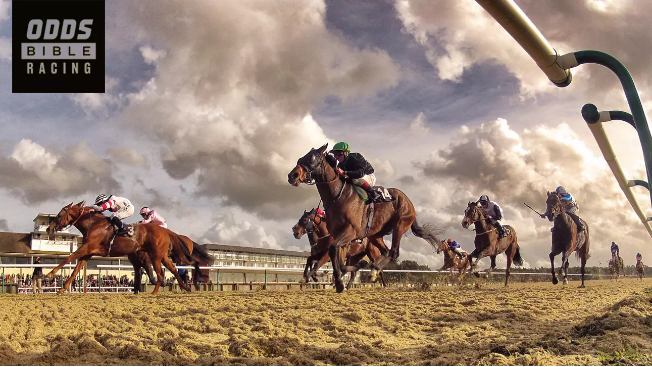 ODDSbible Racing: Tuesday Evening Preview From Catterick, Nottingham And More
