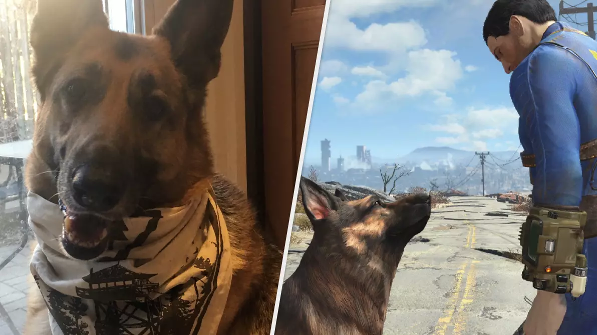 The Dog That Inspired 'Fallout 4' Companion Dogmeat Has Died, Gamers Share Touching Tributes 