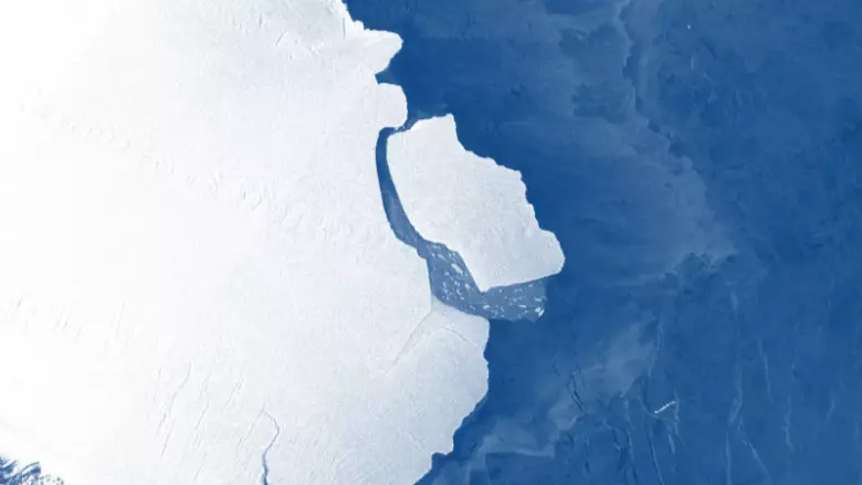 Iceberg The Size Of Sydney Has Broken Off From Antarctica