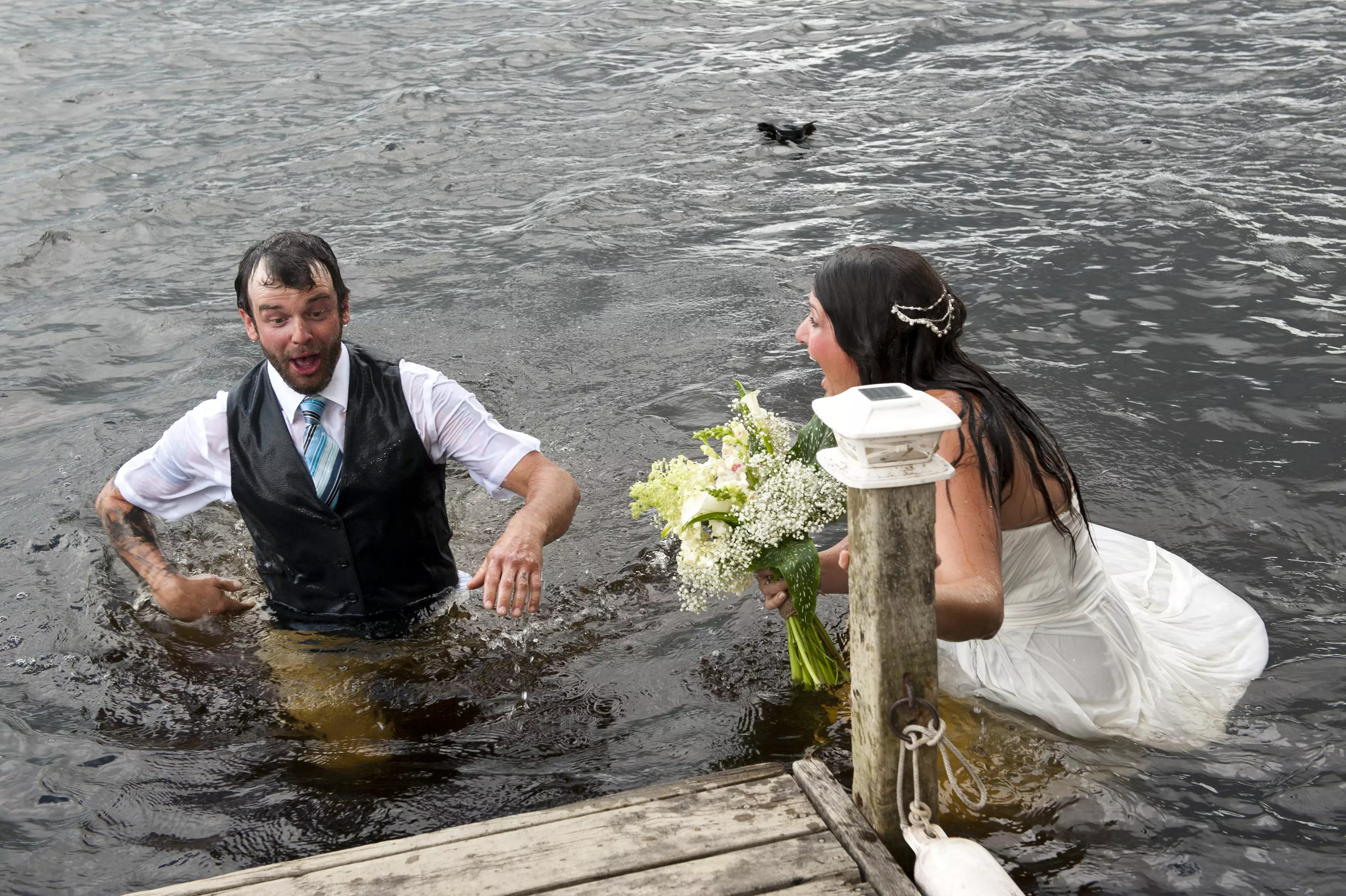 These weren't quite the wedding photographs the couple wanted... (
