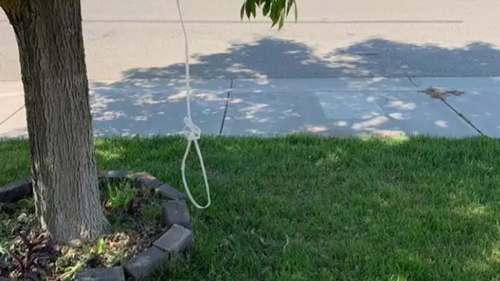 Rainn Wilson Shares Picture Of Noose Hung In African-American Family's Garden