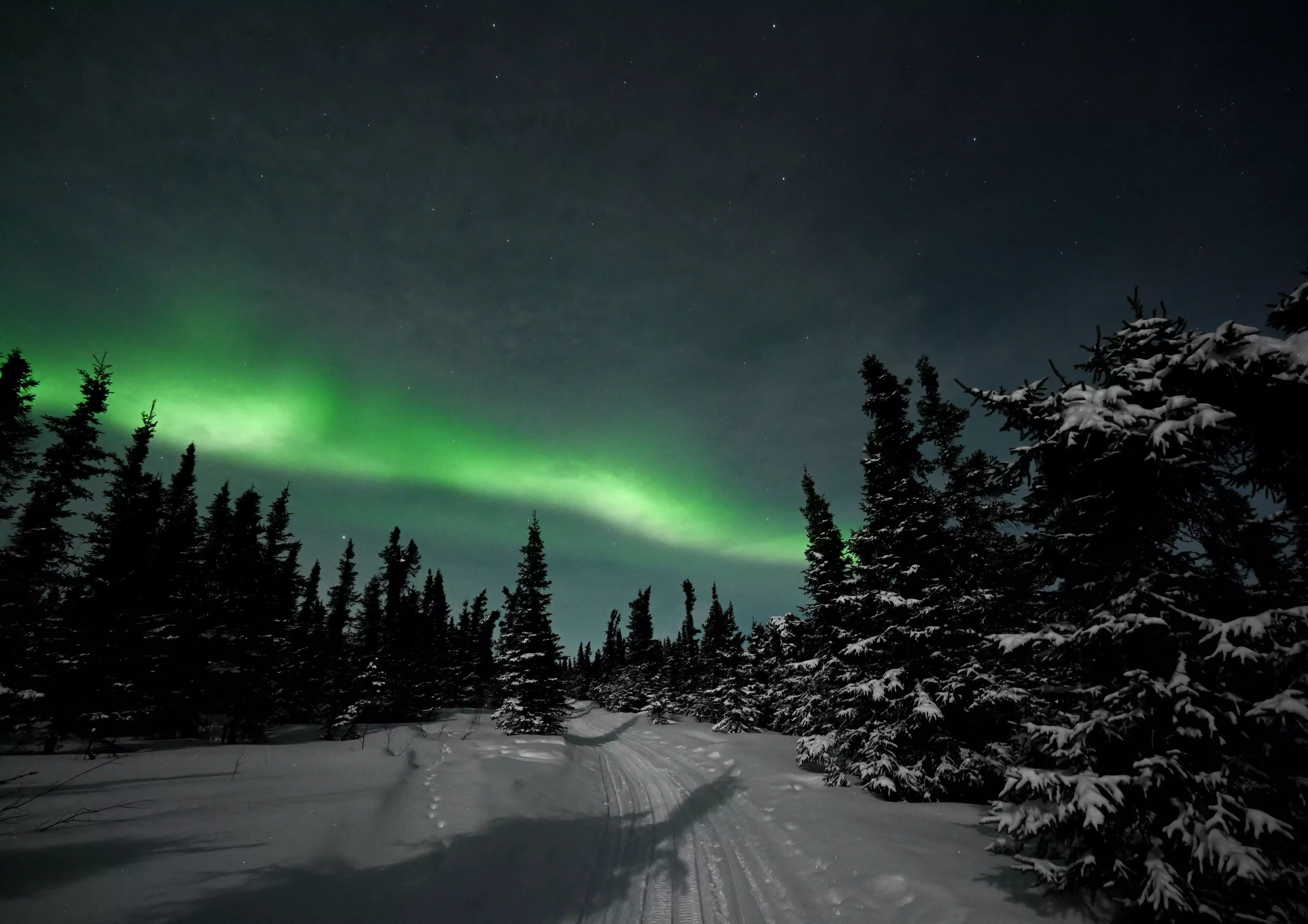 If you're lucky, you might just see a glimpse of the Northern Lights tonight.