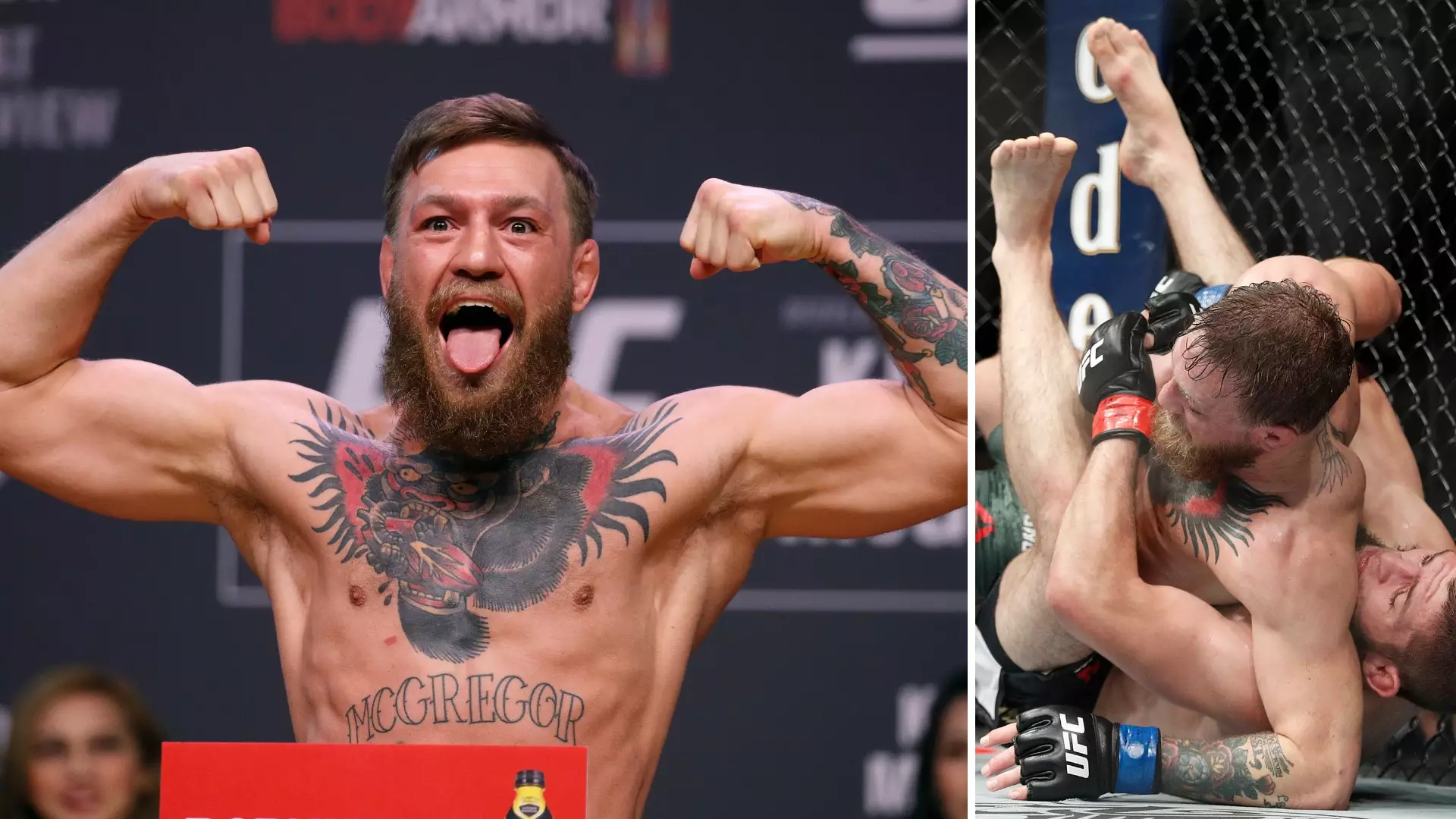 Conor McGregor Has Revealed His UFC Fight Plans For 2019