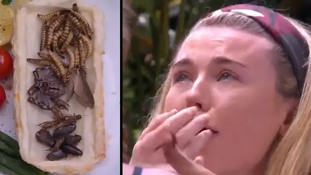 Georgia Toffolo And Rebekah Vardy Dry Retch In ‘I’m A Celebrity’ Bushtucker Trial 