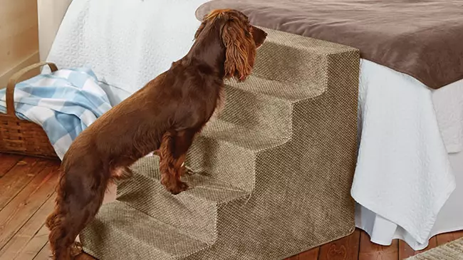 You Can Now Buy Steps To Help Your Pet Onto The Bed
