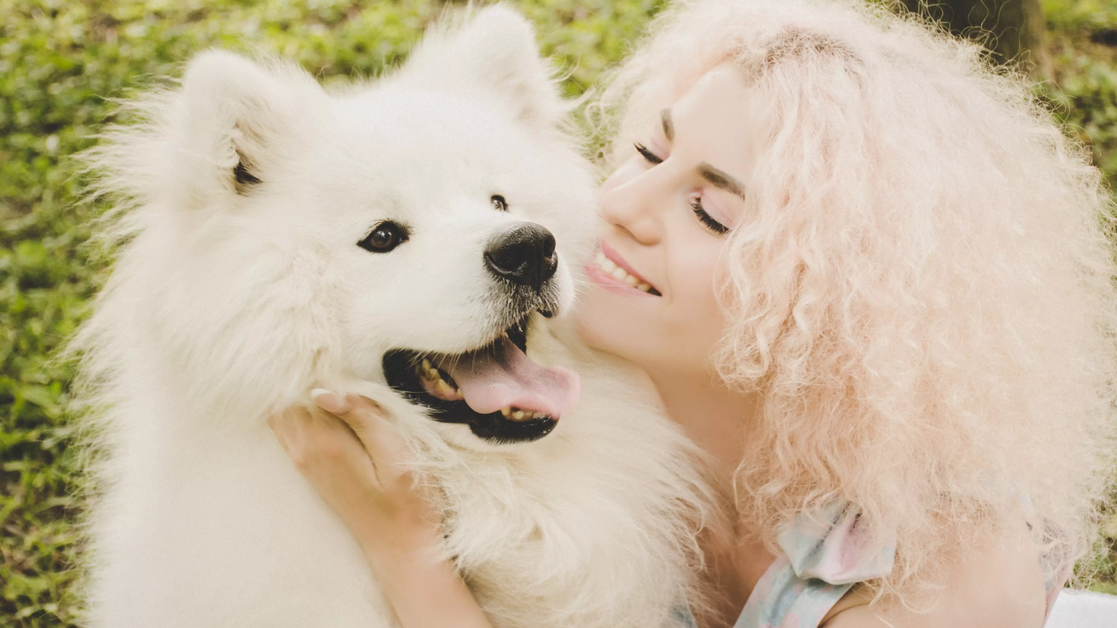 New Survey Finds Dog Owners Are Happier Than Cat Owners