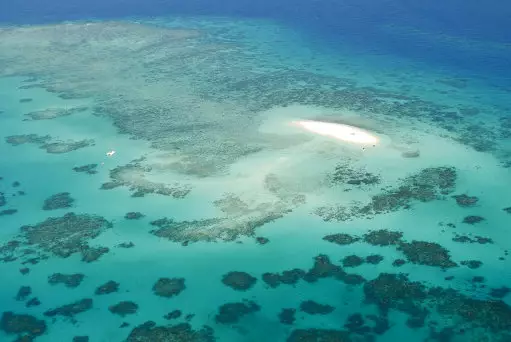 The Great Barrier Reef in Australia could be under threat.