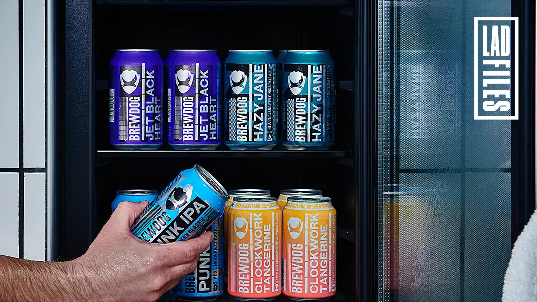 Staying At The BrewDog Kennels, A Hotel Dedicated To Drinking Beer
