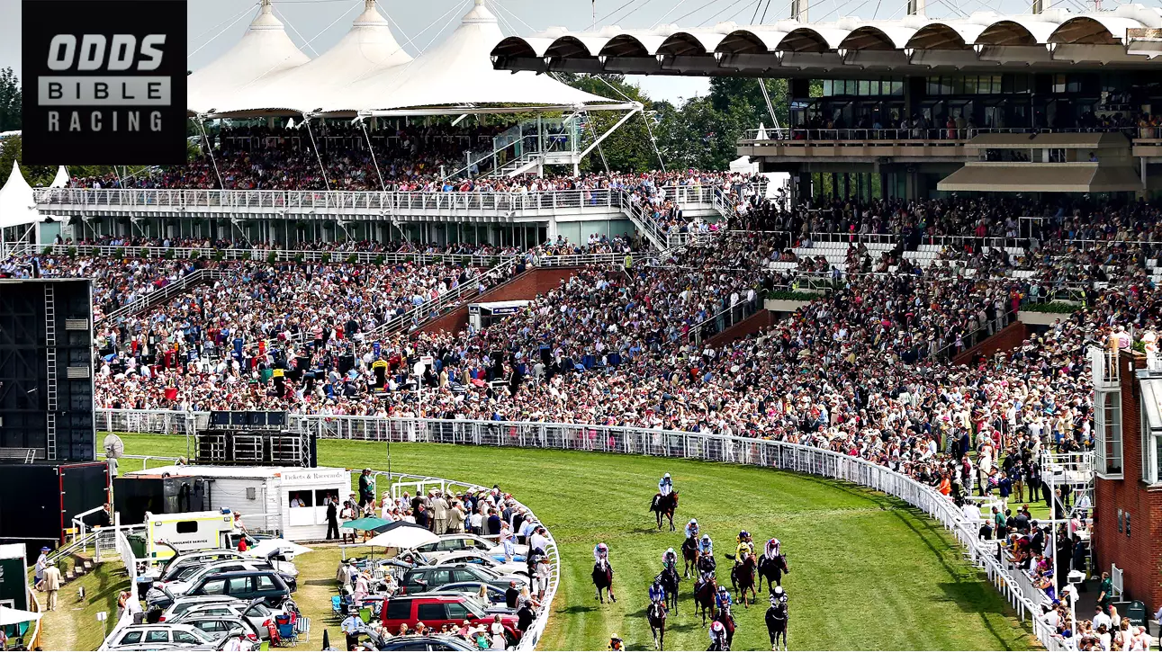 ODDSbibleRacing's Best Bets For Thursday's Action At Goodwood, Sandown And More