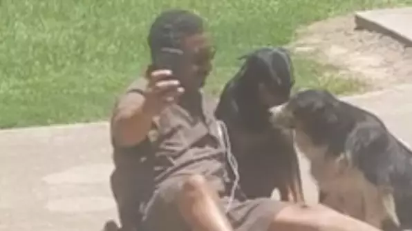 'Best UPS Man On The Planet' Takes Selfie With Dogs