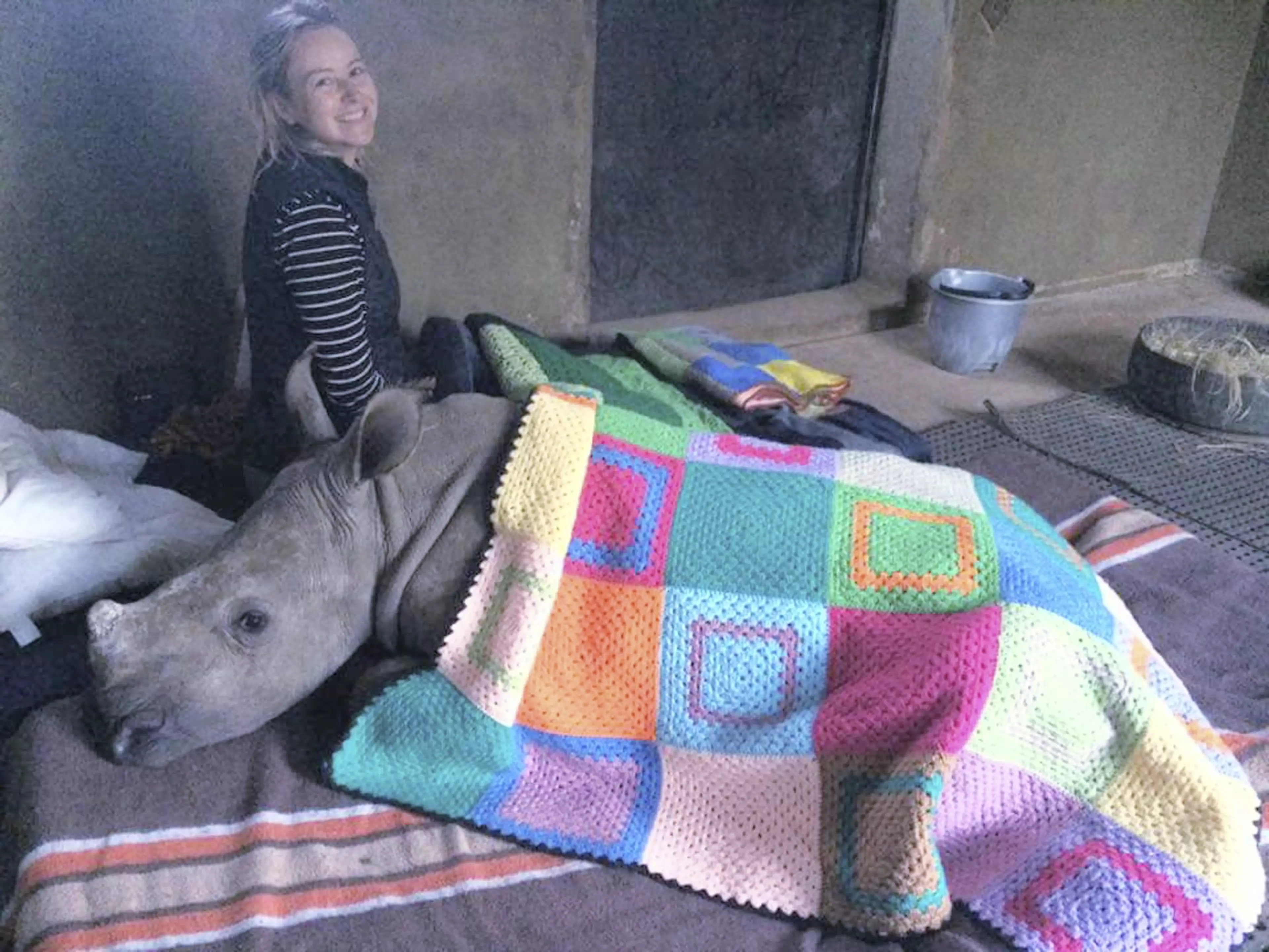 Blankets for Baby Rhinos was started by Elisa Best who say they have been overwhelmed with donations (