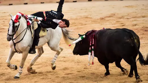 Runners Pummelled As Bulls Charge Streets In Spanish Festival