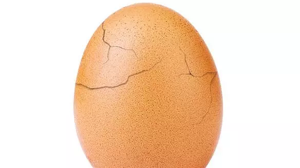 The 'World Record Egg' Has Cracked And Has An Important Message