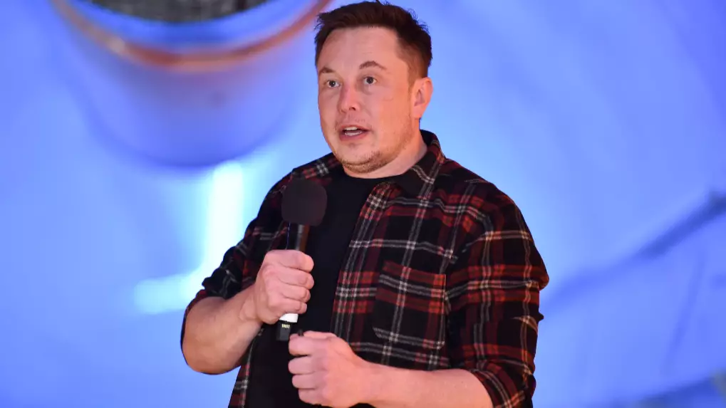​Elon Musk Drops Rap Single Called RIP Harambe