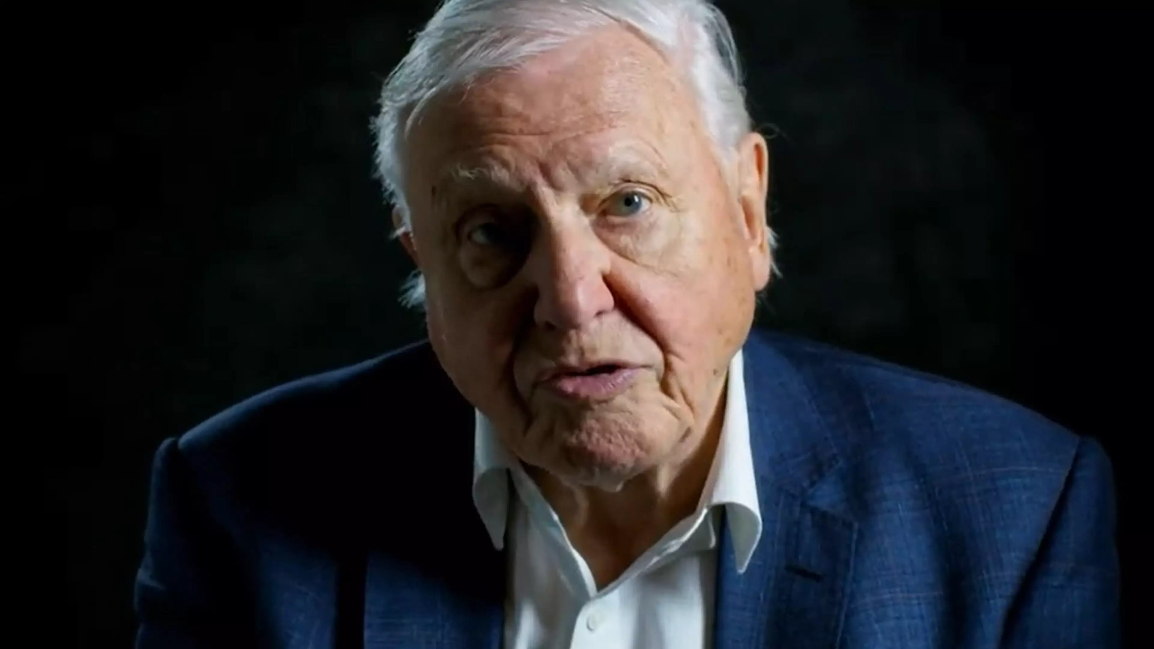 Sir David Attenborough Has Quit Instagram After Two Months
