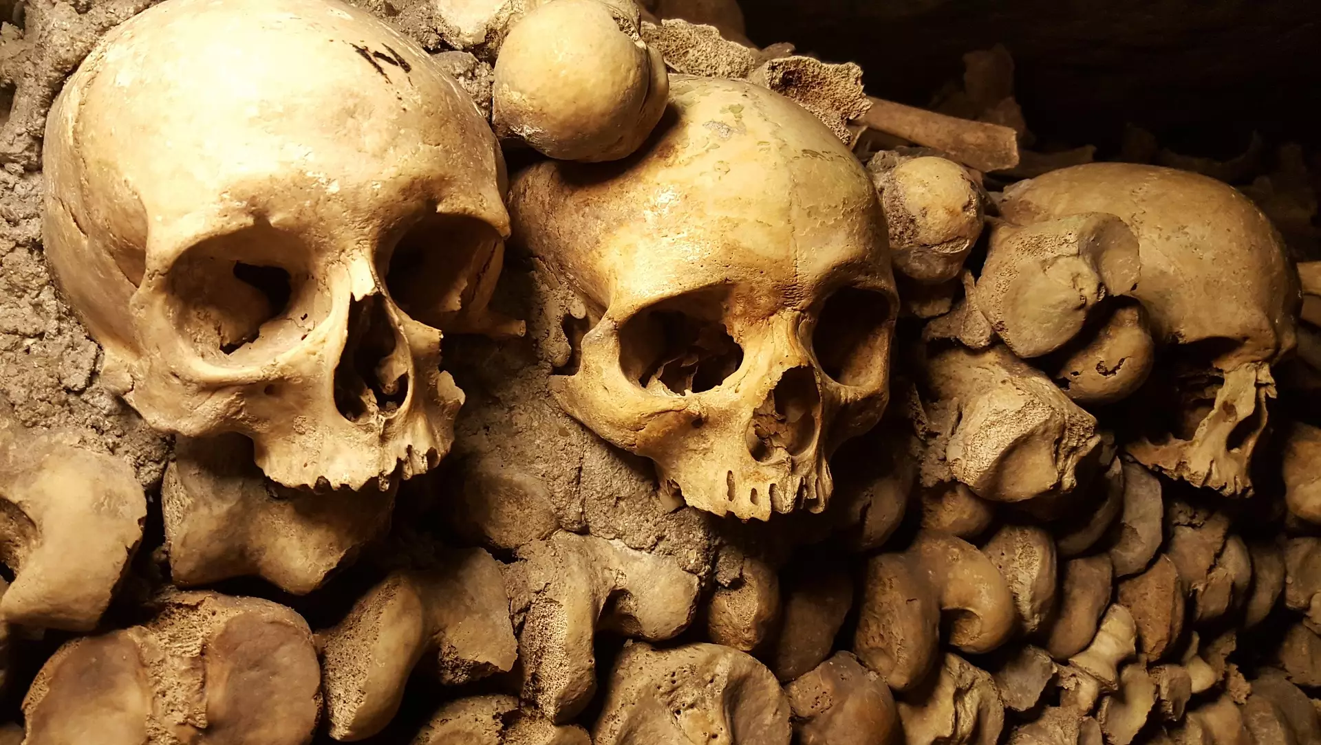 Bones in Paris catacombs 