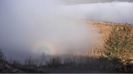 Dog Walker Catches Rare Weather Phenomenon That Convinces Others He's 'Seen God'
