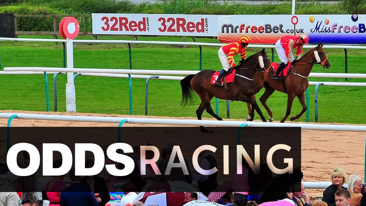 ODDSbibleRacing's Best Bets From Monday's Action At Lingfield, Southwell and Wolverhampton